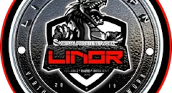 دانلود Linor VPN 2.0 برای اندروید