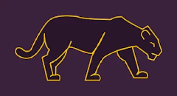 نصب برنامه جدید VPN Panther برای اینترنت خانگی