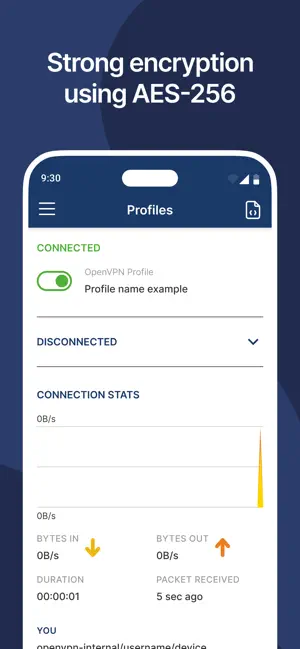 فیلترشکن اپن وی پی ان