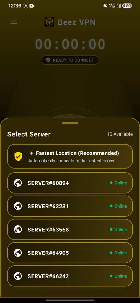 سرورهای فیلترشکن Beez VPN